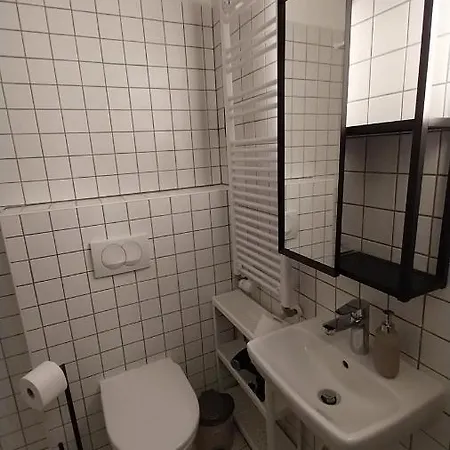 Peaceful Basement With Terrace & Free Gym