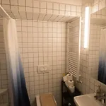 Peaceful Basement With Terrace & Free Gym Budapest