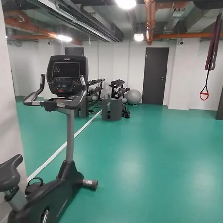 Peaceful Basement With Terrace & Free Gym