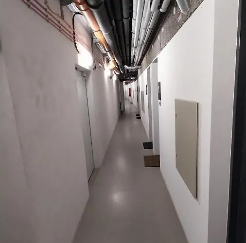 Appartement Peaceful Basement With Terrace & Free Gym