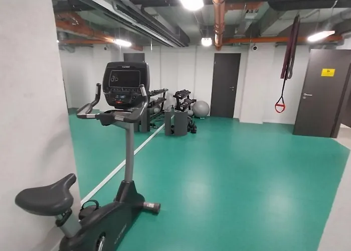 Peaceful Basement With Terrace & Free Gym