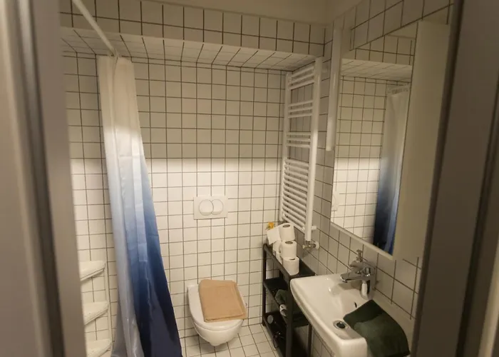 Peaceful Basement With Terrace & Free Gym Appartement