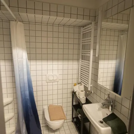 Peaceful Basement With Terrace & Free Gym Apartman